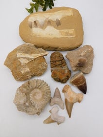 MIXED LOT ROCK STONE LAPIDARY SPECIMEN