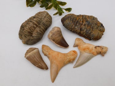 MIXED LOT ROCK STONE LAPIDARY SPECIMEN