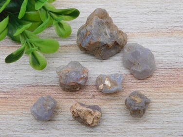 ELLENSBURG AGATE ROCK STONE LAPIDARY SPECIMEN