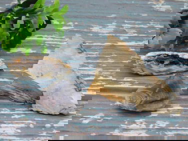 MIXED STONE BRACELET ROCK STONE LAPIDARY SPECIMEN