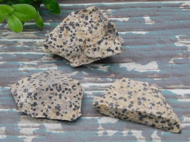 DALMATION JASPER ROCK STONE LAPIDARY SPECIMEN