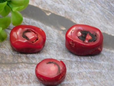 RED CORAL ROCK STONE LAPIDARY SPECIMEN