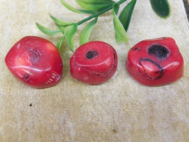 RED CORAL ROCK STONE LAPIDARY SPECIMEN