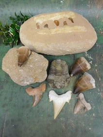 MIXED LOT ROCK STONE LAPIDARY SPECIMEN