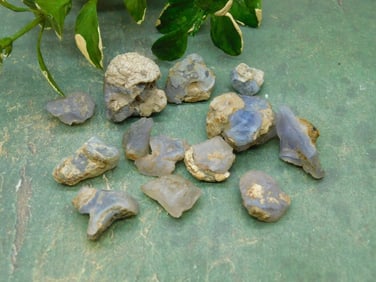 ELLENSBURG AGATE ROCK STONE LAPIDARY SPECIMEN