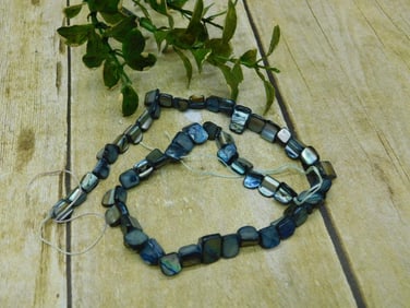 SHELL BEADS ROCK STONE LAPIDARY SPECIMEN