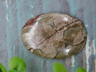 MUSHROOM RHYOLITE CABOCHON ROCK STONE LAPIDARY SPECIMEN