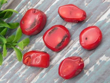 RED CORAL ROCK STONE LAPIDARY SPECIMEN