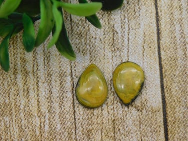 BUMBLEBEE JASPER CABOCHONS ROCK STONE LAPIDARY SPECIMEN