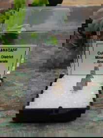 ANATASE ROCK STONE LAPIDARY SPECIMEN