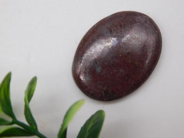 DINOSAUR BONE CABOCHON ROCK STONE LAPIDARY SPECIMEN