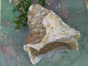 JASPER ROCK STONE LAPIDARY SPECIMEN