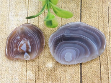 BOTSWANA AGATE ROCK STONE LAPIDARY SPECIMEN