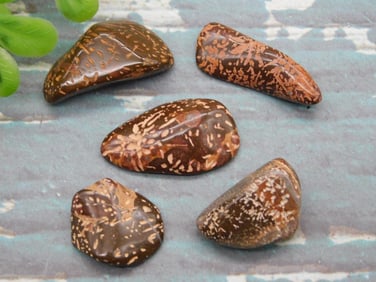 STARBURST JASPER ROCK STONE LAPIDARY SPECIMEN