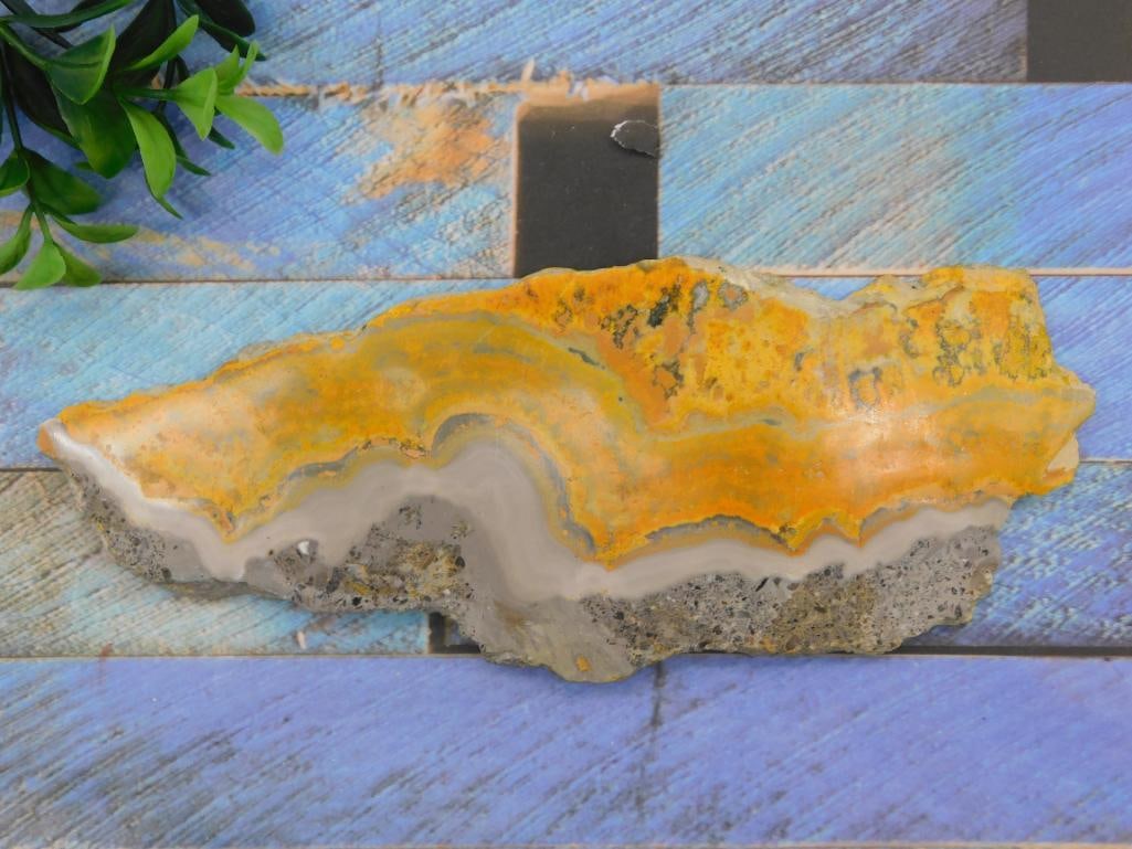 BUMBLEBEE JASPER SLAB ROCK STONE LAPIDARY SPECIMEN: BUMBLEBEE JASPER SLAB ROCK STONE LAPIDARY SPECIMEN