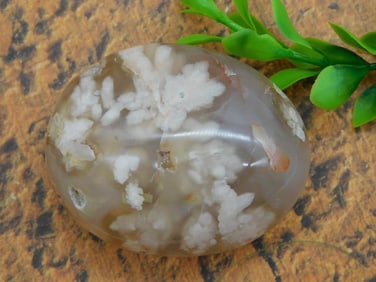 HATMANS FLOWER PETAL AGATE ROCK STONE LAPIDARY SPECIMEN