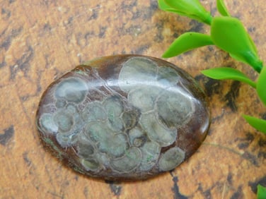 RHYOLITE CABOCHON ROCK STONE LAPIDARY SPECIMEN