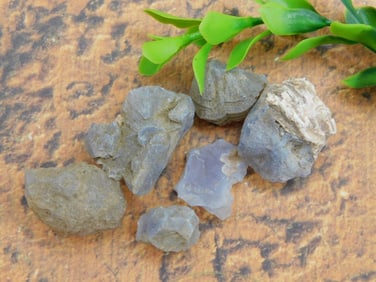 ELLENSBURG AGATE ROCK STONE LAPIDARY SPECIMEN