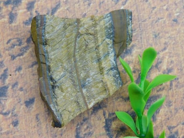 TIGER EYE ROCK STONE LAPIDARY SPECIMEN