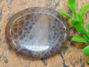 FIRE AGATE WORRY STONE ROCK STONE LAPIDARY SPECIMEN