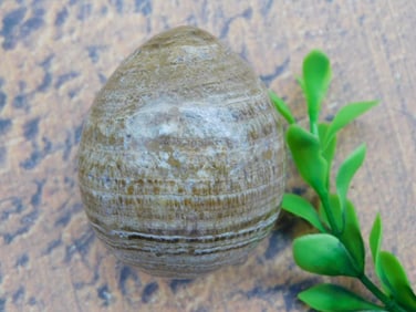 BANDED JASPER EGG ROCK STONE LAPIDARY SPECIMEN
