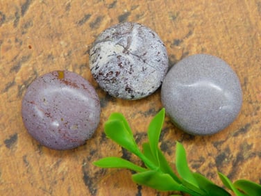 MIXED LOT ROCK STONE LAPIDARY SPECIMEN