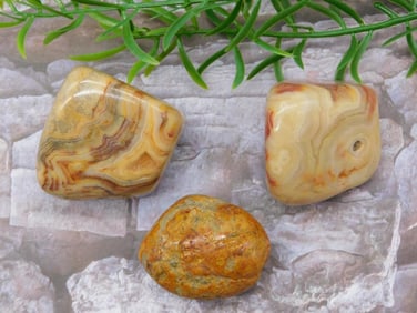 YELLOW CRAZY LACE ROCK STONE LAPIDARY SPECIMEN