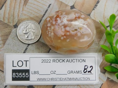 HATMANS FLOWER PETAL AGATE ROCK STONE LAPIDARY SPECIMEN