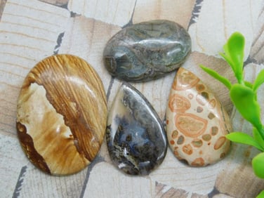 CABOCHONS ROCK STONE LAPIDARY SPECIMEN