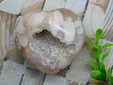 HATMANS FLOWER PETAL AGATE ROCK STONE LAPIDARY SPECIMEN