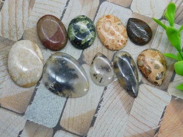 CABOCHONS ROCK STONE LAPIDARY SPECIMEN