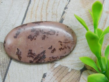 COFFEE BEAN JASPER CABOCHON ROCK STONE LAPIDARY SPECIMEN