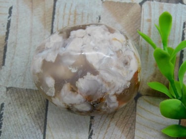 HATMANS FLOWER PETAL AGATE ROCK STONE LAPIDARY SPECIMEN