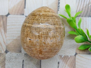 BANDED JASPER EGG ROCK STONE LAPIDARY SPECIMEN