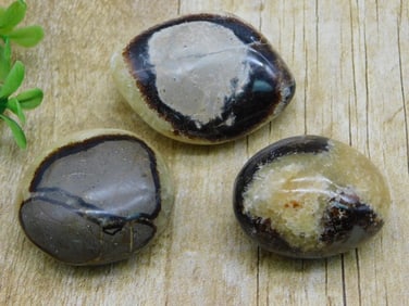SEPTARIAN ROCK STONE LAPIDARY SPECIMEN