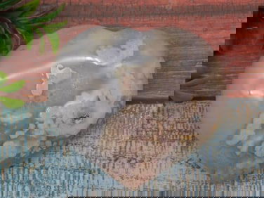 HATMANS FLOWER PETAL AGATE ROCK STONE LAPIDARY SPECIMEN