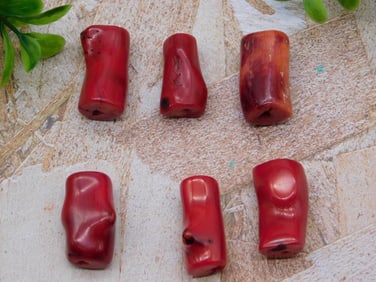 RED CORAL ROCK STONE LAPIDARY SPECIMEN