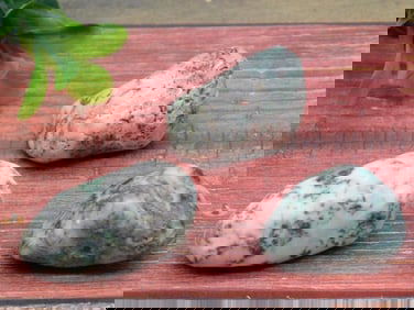 TREE AGATE ROCK STONE LAPIDARY SPECIMEN