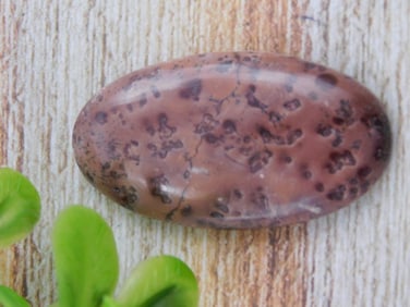 COFFEE BEAN JASPER CABOCHON ROCK STONE LAPIDARY SPECIMEN