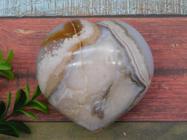 HATMANS FLOWER PETAL AGATE ROCK STONE LAPIDARY SPECIMEN