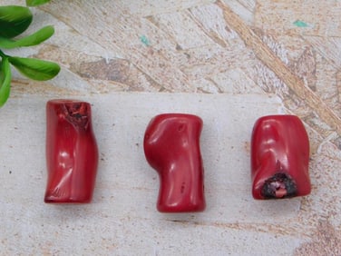 RED CORAL ROCK STONE LAPIDARY SPECIMEN