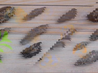 ELLENSBURG AGATE ROCK STONE LAPIDARY SPECIMEN