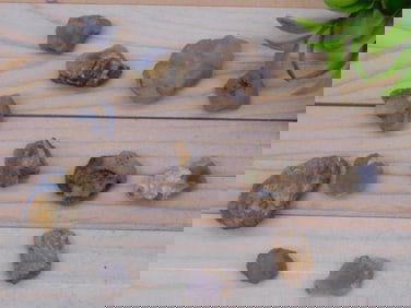 ELLENSBURG AGATE ROCK STONE LAPIDARY SPECIMEN