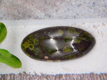 CABOCHON ROCK STONE LAPIDARY SPECIMEN