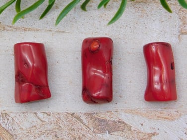 RED CORAL ROCK STONE LAPIDARY SPECIMEN