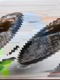 ORTHOCERAS EGG ROCK STONE LAPIDARY SPECIMEN