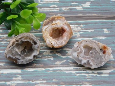 GEODES ROCK STONE LAPIDARY SPECIMEN