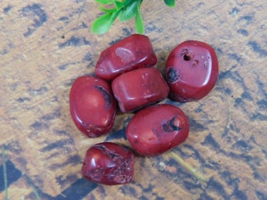 RED CORAL ROCK STONE LAPIDARY SPECIMEN