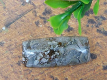 CABOCHON ROCK STONE LAPIDARY SPECIMEN