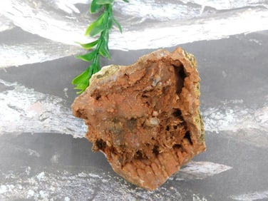 CAVE GEODE ROCK STONE LAPIDARY SPECIMEN